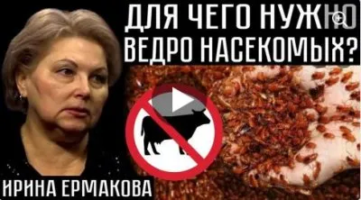 Для чего нужно ведро насекомых?