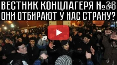 Вестник концлагеря. Выпуск 28. Они отбирают у нас страну